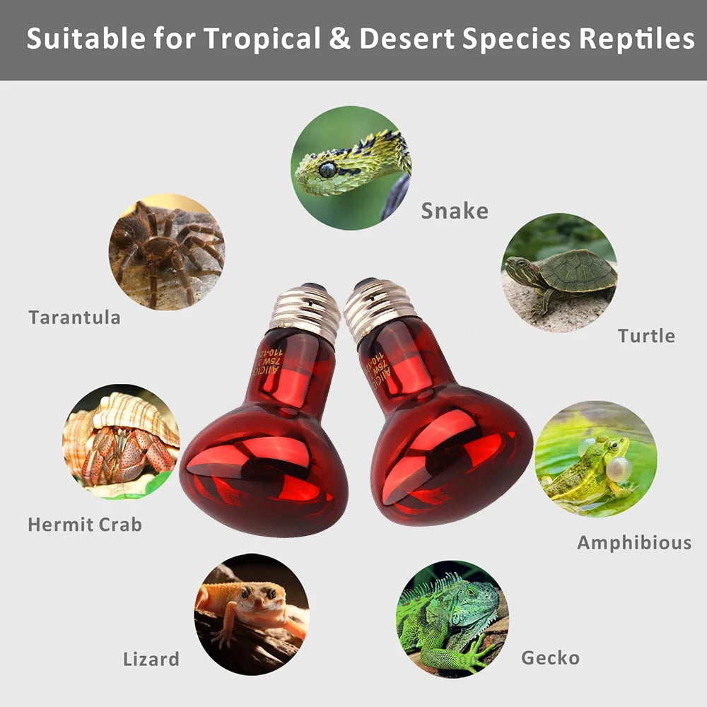 220V Poultry Chickens Heating Bulb E27 Amphibious Red Heating Lamp 25W/100W Infrared Insulation Heat Light for Pets Livestock