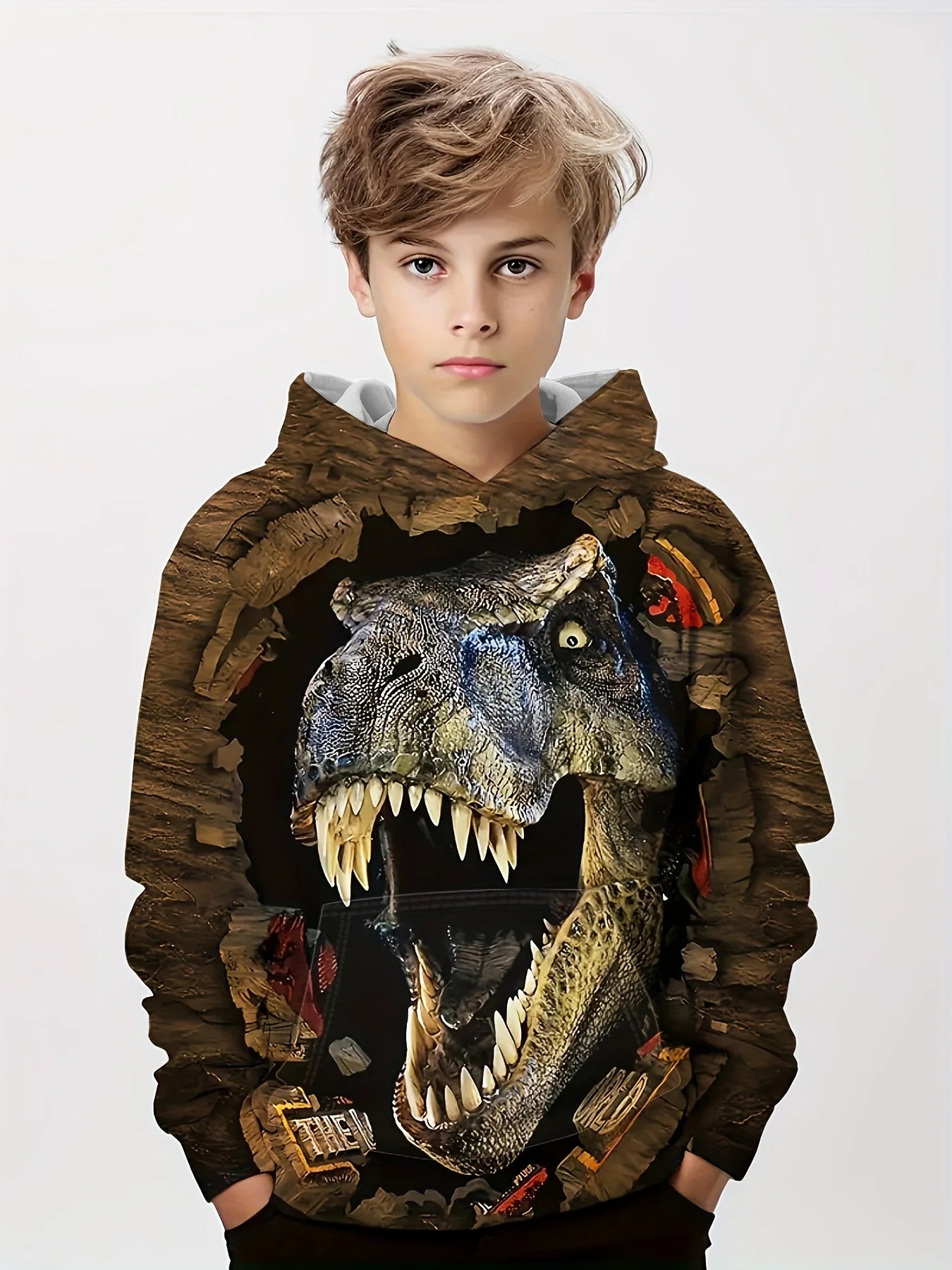 Hoodies Animal Dinosaur Pattern 3D Print Sweatshirts Boys Girls Harajuku Hooded Sweatshirt kids Fashion Coat Children Tracksuits