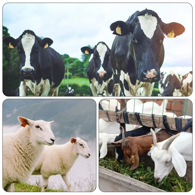 Livestock Safety Ear Tag Removal Tool Hay String Cutter Bandage for Cattle Goat Sheep Pig Tag Removal Knife Veterinary Farm 1Pc