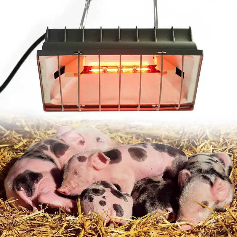 Automatic Heating Breeding Equipment Livestock Insulation Lamp Adjustable Temperature Pet Animals Chicken Coop Heater Lamps