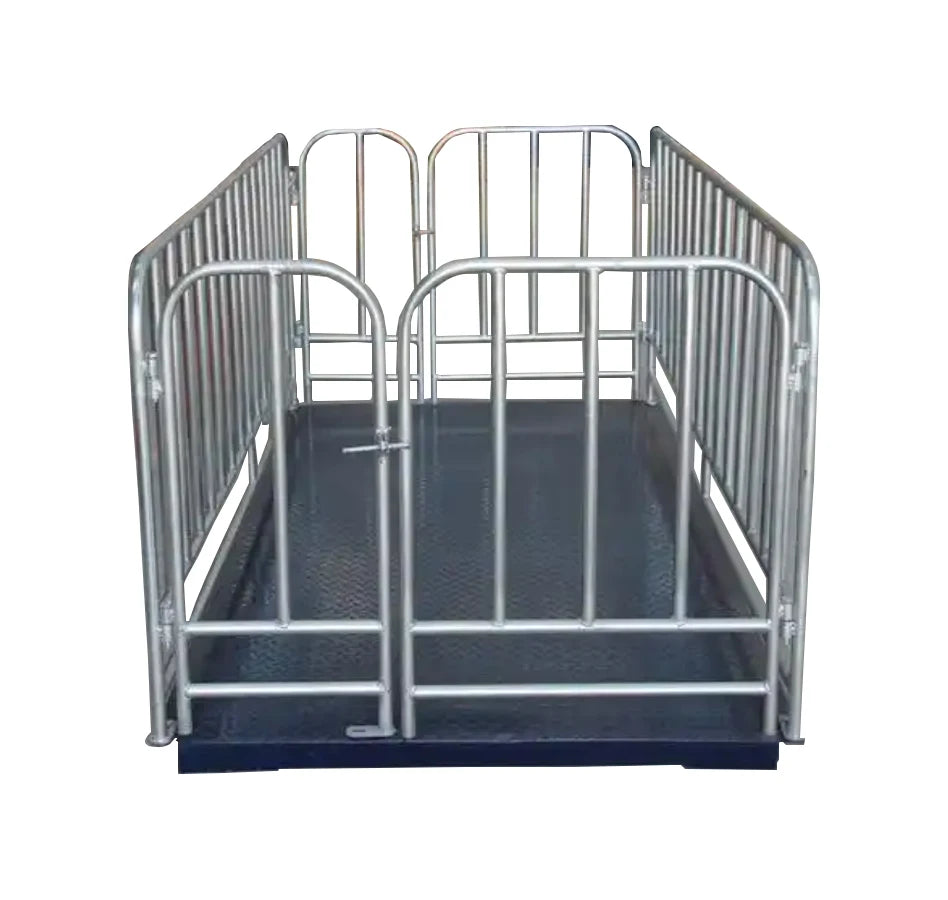 Digital Electronic Livestock Animal Weighing Scales 1000kg Capacity Floor Scale for Cattle Pig Sheep Goat Made of Steel