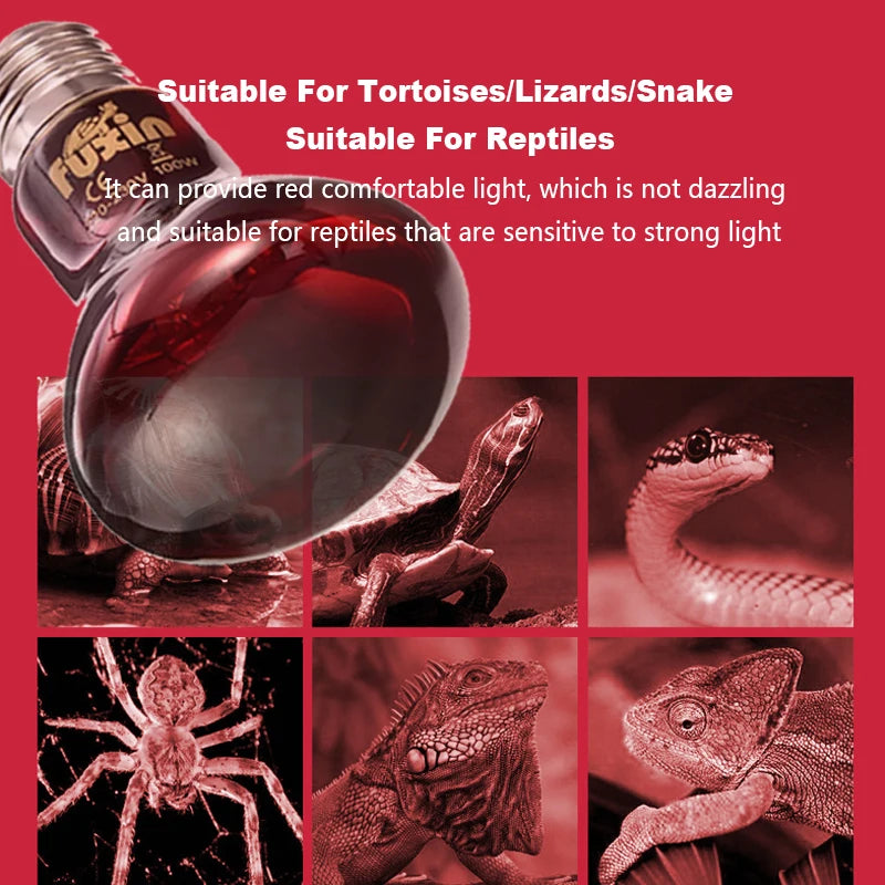 220V Poultry Chickens Heating Bulb E27 Amphibious Red Heating Lamp 25W/100W Infrared Insulation Heat Light for Pets Livestock