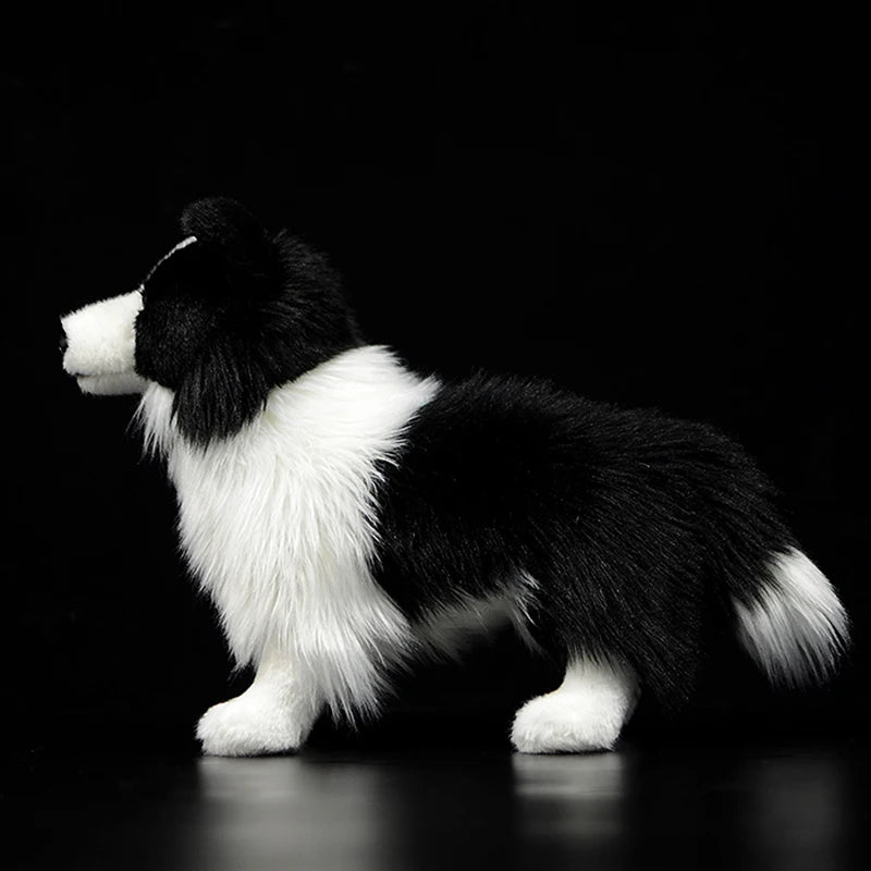 Beautiful Border Collie Toy Model  Gift Original