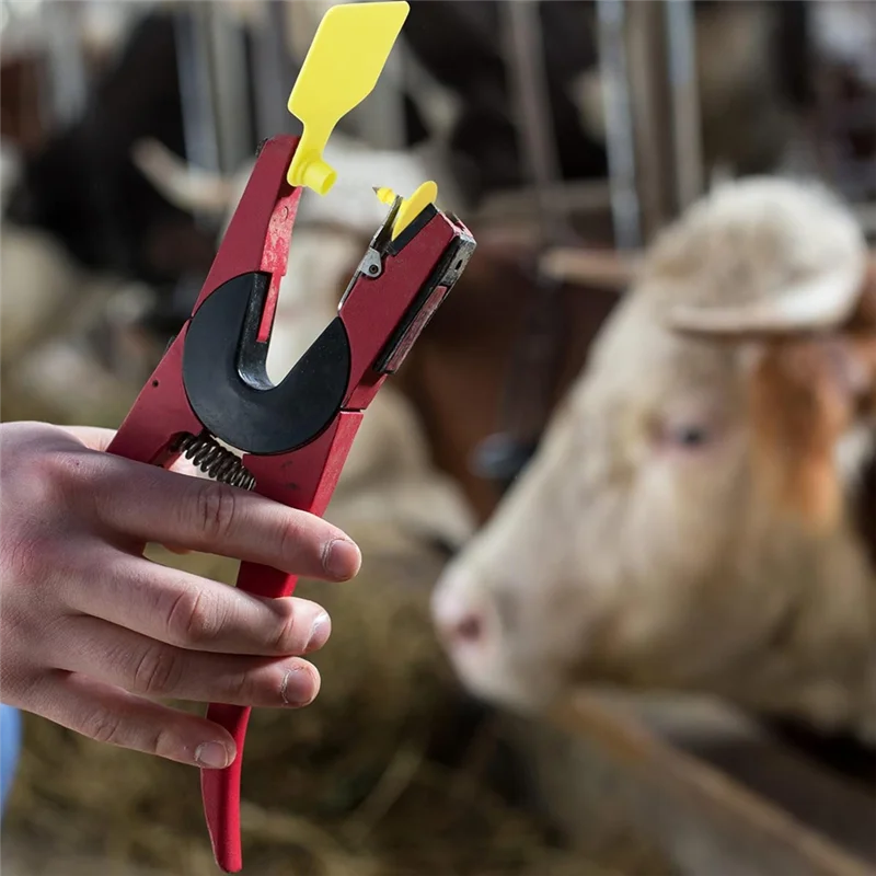 ABGE-100 Pieces Blank Cow Ear Tags Large Plastic Livestock Ear Tags For Cow Horse Dog Pig Goat Sheep Farm Management