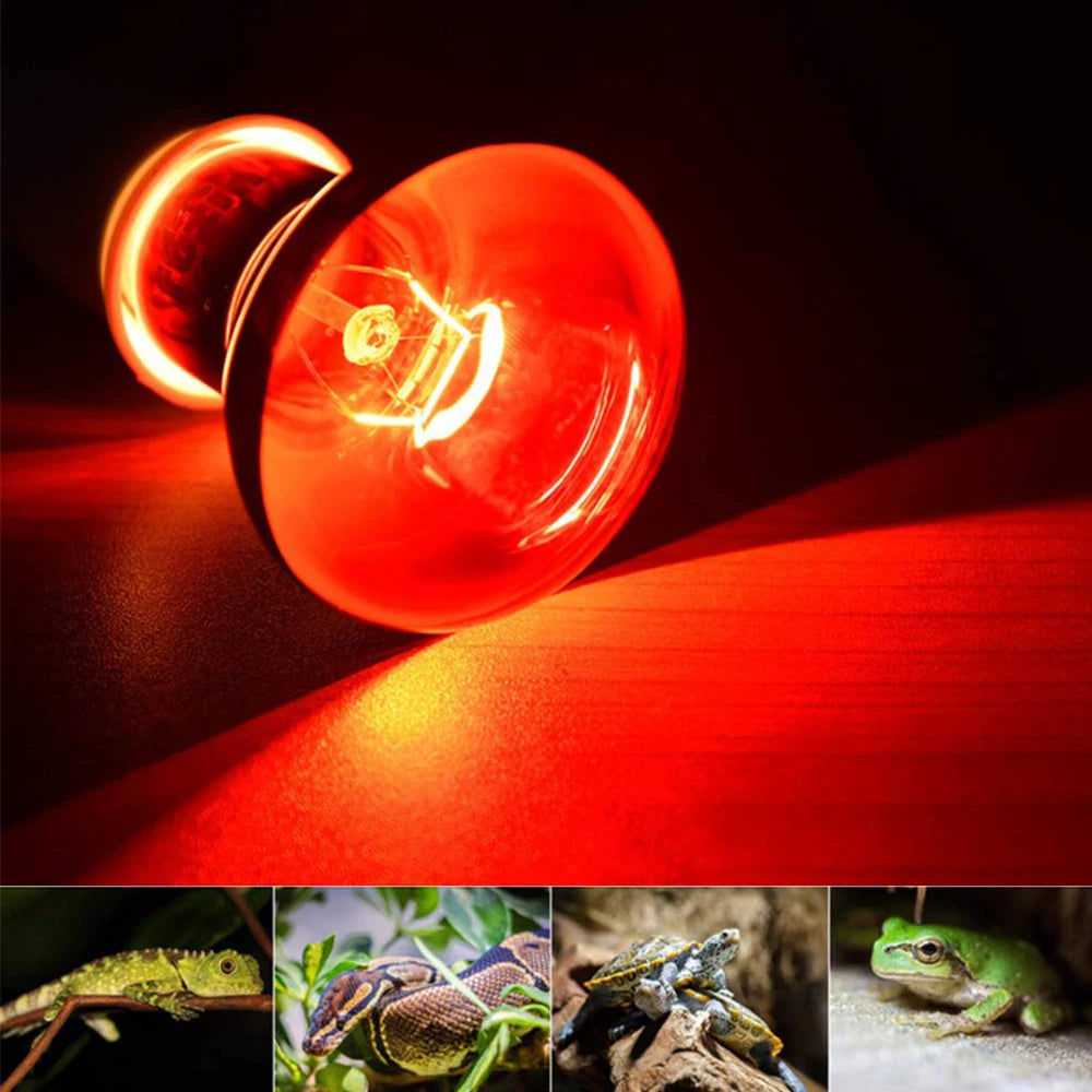 220V Poultry Chickens Heating Bulb E27 Amphibious Red Heating Lamp 25W/100W Infrared Insulation Heat Light for Pets Livestock