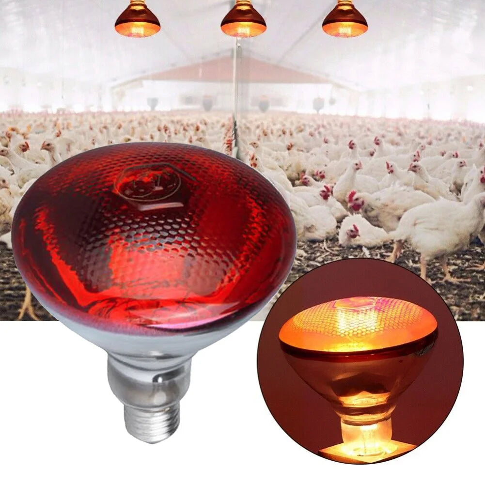 250W Poultry Infrared Heat Lamp Waterproof Anti-Explosion Thickened Light Bulbs For Piglet Chicken Duck Birds E27 Heating Lamp