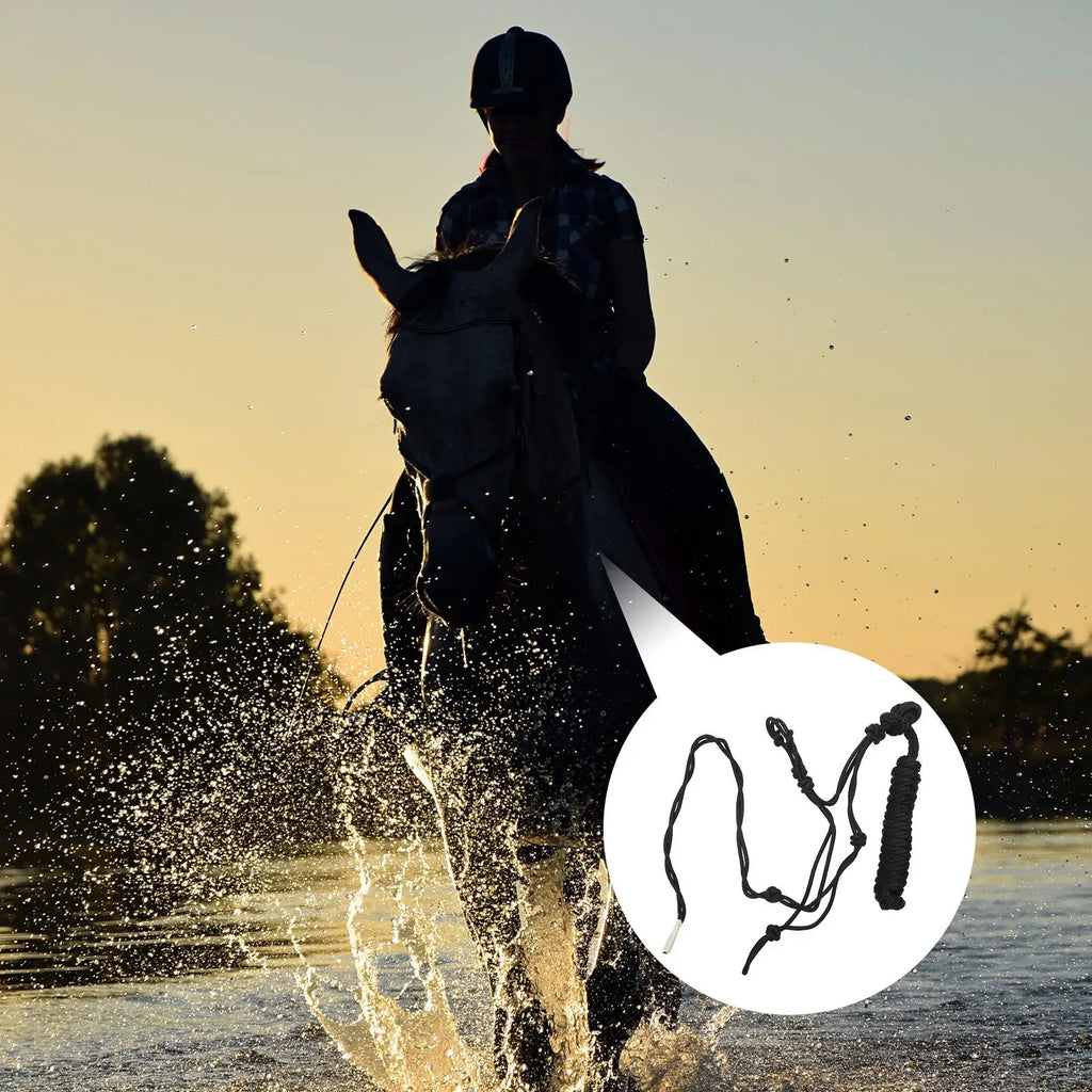 Durable Horse Halter Random Color Ropes Breakaway Headcollars Bridles Equestrian Equipment Lightweight Storage for Training