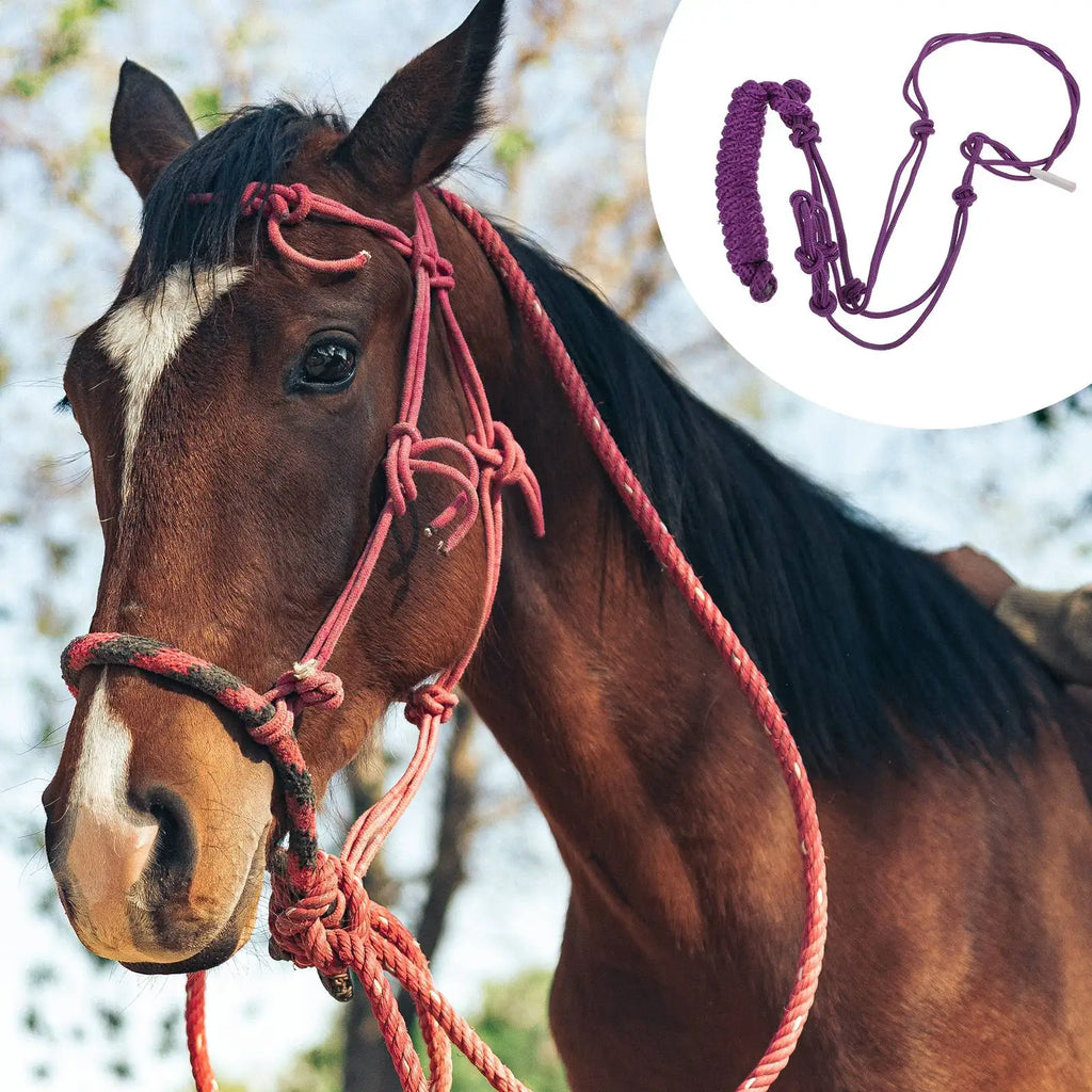 Durable Horse Halter Random Color Ropes Breakaway Headcollars Bridles Equestrian Equipment Lightweight Storage for Training