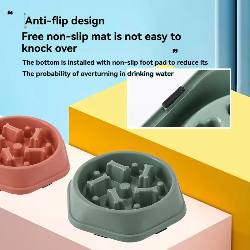 Pet Food Bowl, Environmentally Friendly