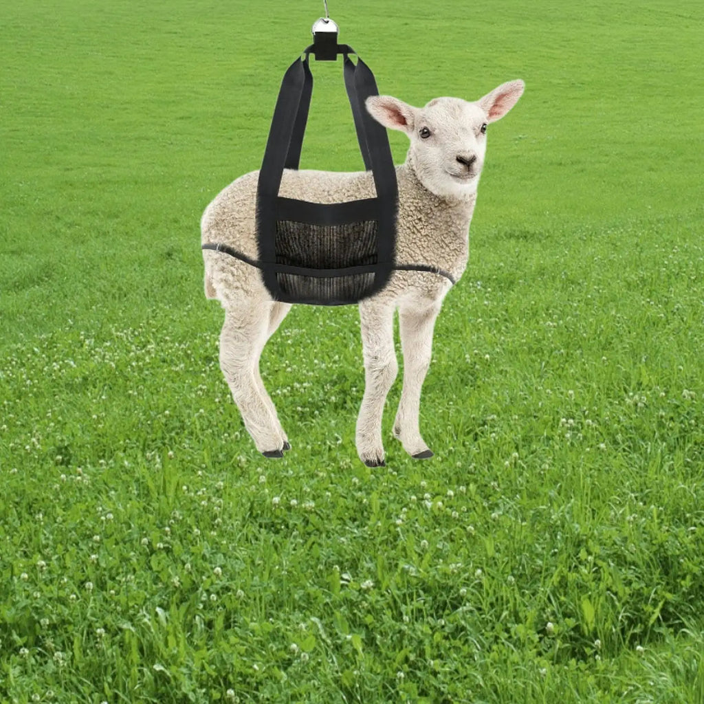 Calf Sling for Weighing Animals Portable Lamb Weight Sling with Adjustable Straps for Goat Pigs Livestock Dogs