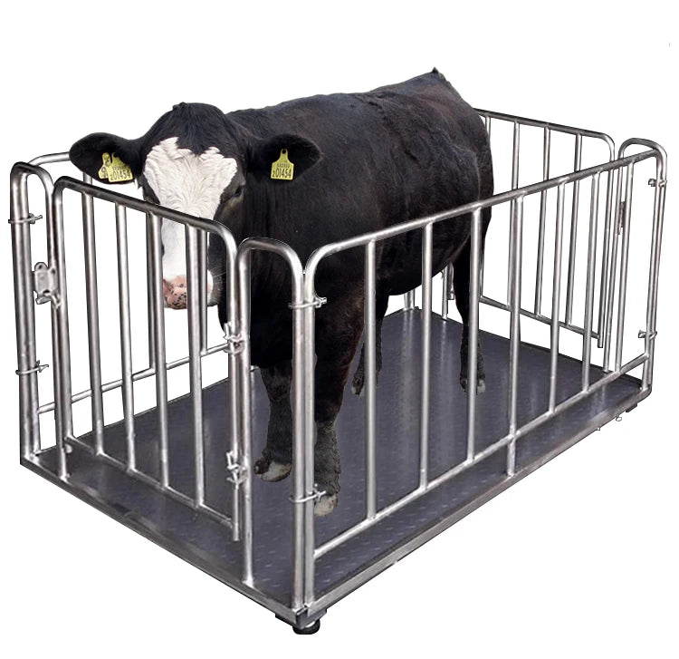 Digital Electronic Livestock Animal Weighing Scales 1000kg Capacity Floor Scale for Cattle Pig Sheep Goat Made of Steel