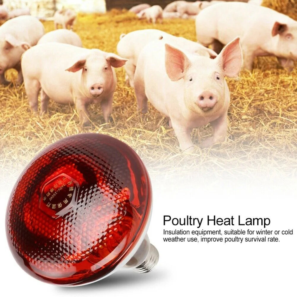 250W Poultry Infrared Heat Lamp Waterproof Anti-Explosion Thickened Light Bulbs For Piglet Chicken Duck Birds E27 Heating Lamp