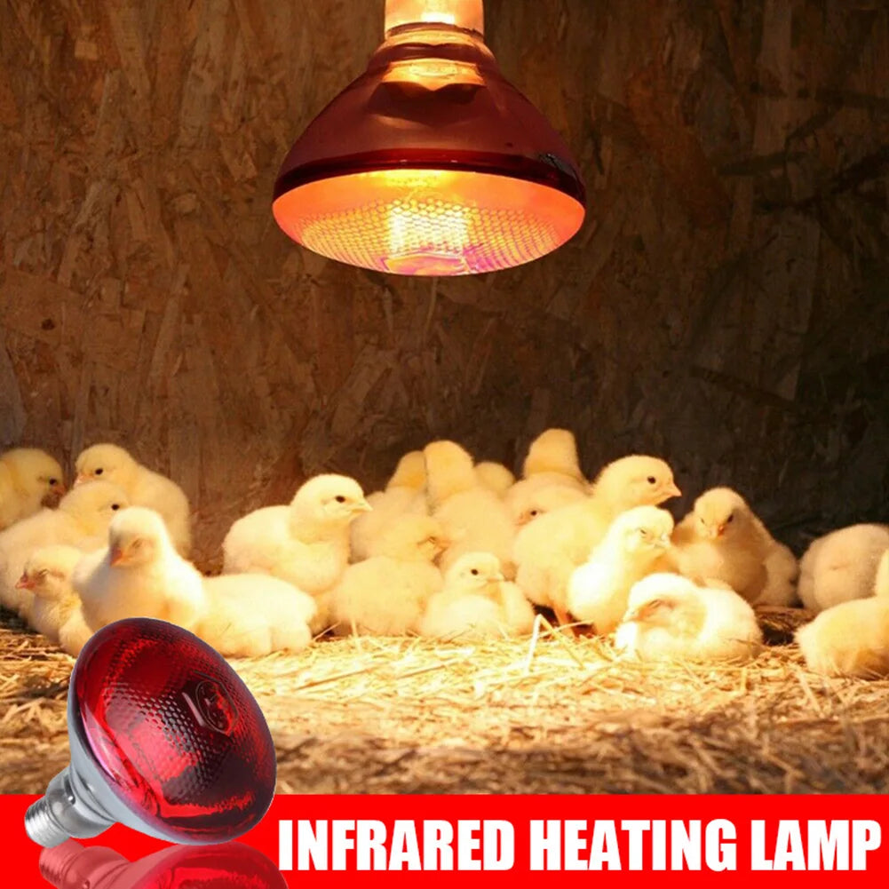 250W Poultry Infrared Heat Lamp Waterproof Anti-Explosion Thickened Light Bulbs For Piglet Chicken Duck Birds E27 Heating Lamp