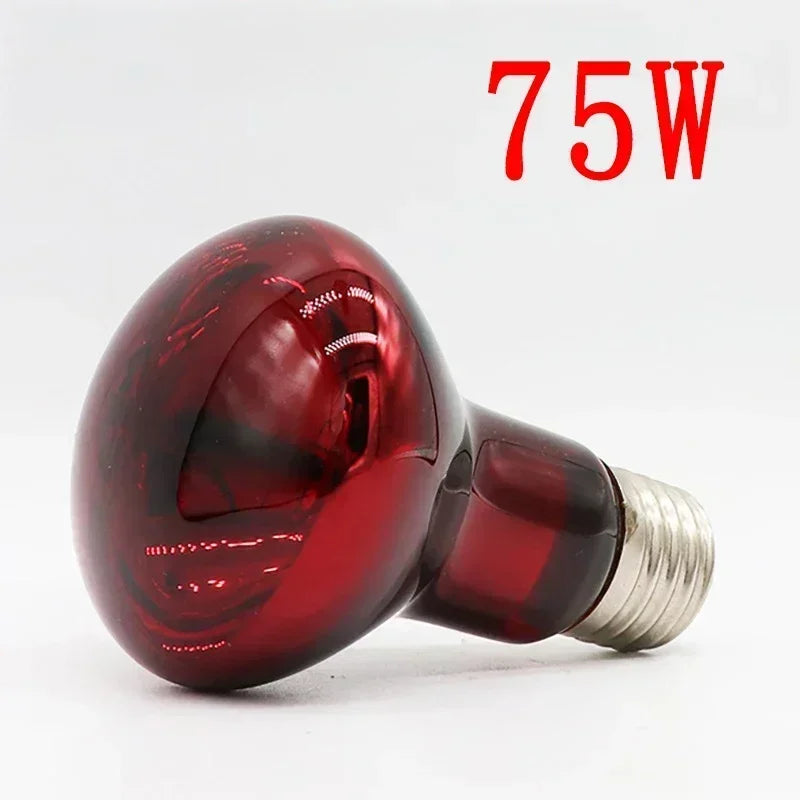 220V Poultry Chickens Heating Bulb E27 Amphibious Red Heating Lamp 25W/100W Infrared Insulation Heat Light for Pets Livestock