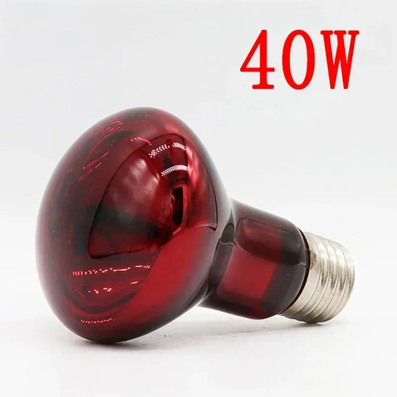 220V Poultry Chickens Heating Bulb E27 Amphibious Red Heating Lamp 25W/100W Infrared Insulation Heat Light for Pets Livestock