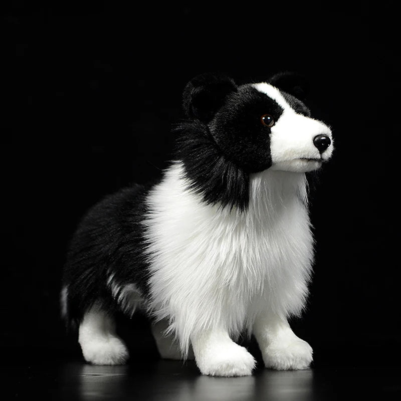 Beautiful Border Collie Toy Model  Gift Original