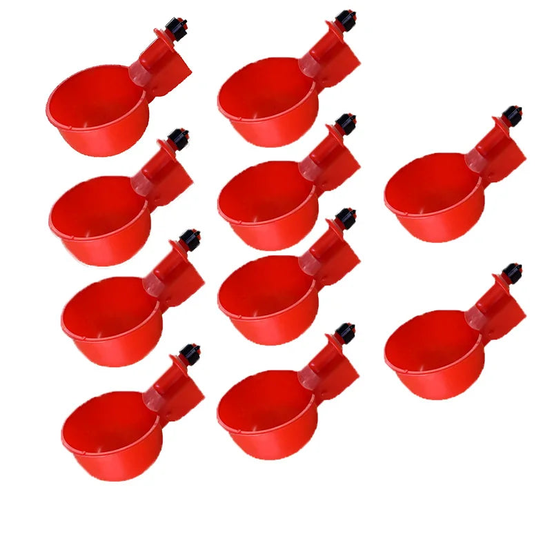 Chicken Drinking Bowl Drinking Water Quail Poultry Automatic Water Dispenser Duck and Pigeon Free Range Chicken
